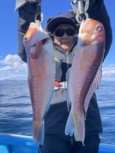 【釣果速報】茨城県のことぶき丸でマダイ・アマダイ・トラフグ・マゾイ他GET！多種多様！充実の釣行をお約束します！