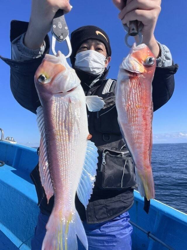 【釣果速報】茨城県のことぶき丸でマダイ・アマダイ・トラフグ・マゾイ他GET！多種多様！充実の釣行をお約束します！