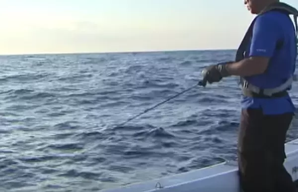 オフショアジギングのタックル特集！どんなロッドやリールを選べばいいの？