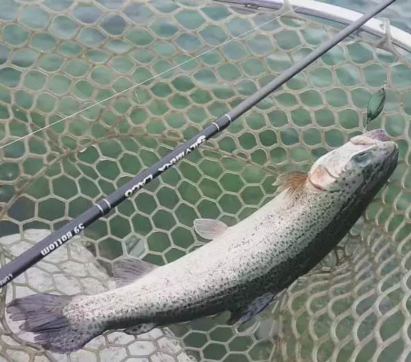 【エリアトラウトスタンダードモデル】メソッドにマッチしたロッドが選べるシルバーナラゴシリーズ！