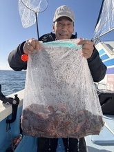 【釣果速報】茨城県清栄丸でマダコフィーバー！最大3.00kgの大ダコも浮上！？年末はタコ釣行に挑戦しませんか？