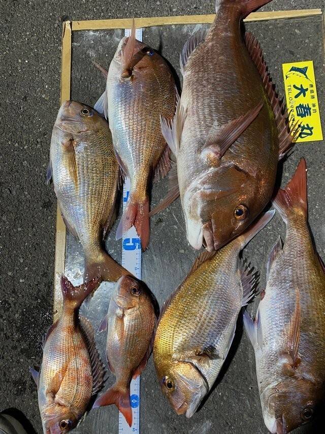 【釣果速報】茨城県大春丸で最大4.60kgのマダイを筆頭に大物炸裂！今後も右肩上がりに釣果が上向く見込み！このビッグウェーブ、乗るっきゃない！