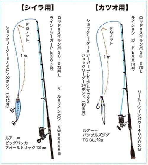 相模湾のルアーシイラ