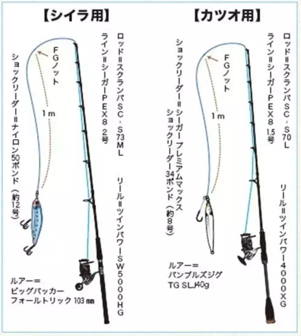 「相模湾のルアーシイラ」の画像
