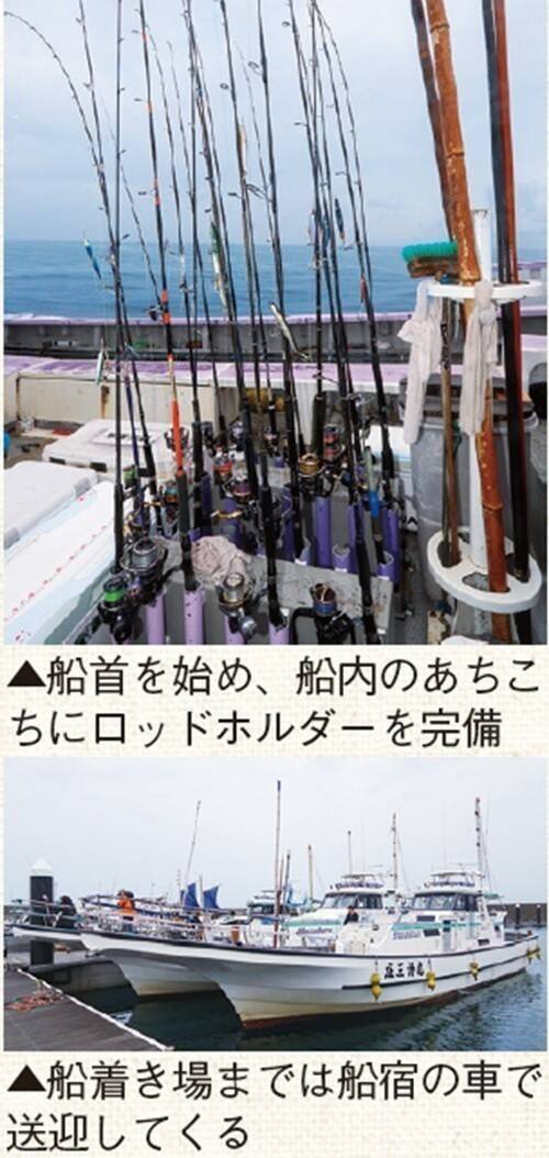 相模湾のルアーシイラ