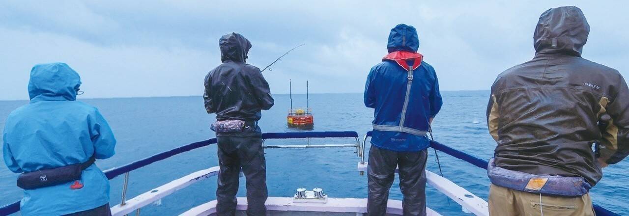 相模湾のルアーシイラ