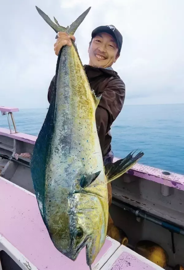 「相模湾のルアーシイラ」の画像