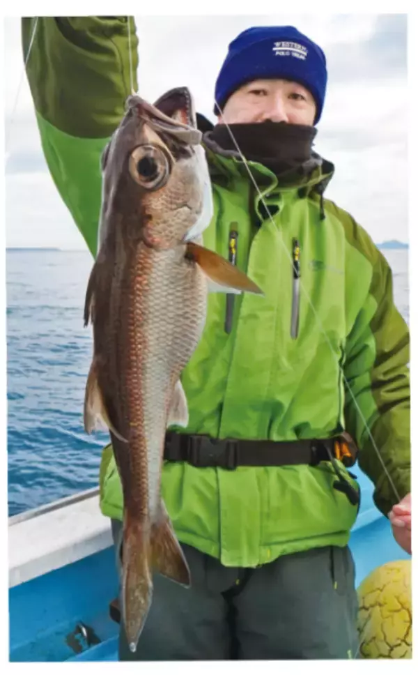 「本命のクロムツは高位安定 ライト深海根魚五目」の画像