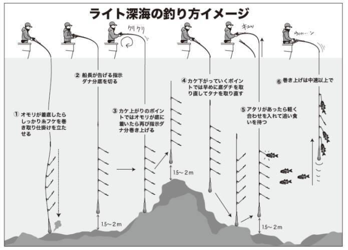 本命のクロムツは高位安定 ライト深海根魚五目