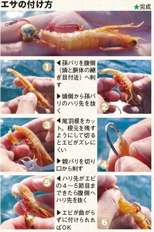 外房大原の一つテンヤマダイ