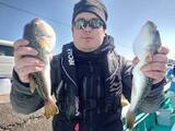 「【釣果速報】千葉県利永丸でショウサイフグが絶好調！自分の手で絶品フグを手に入れよう！」の画像1