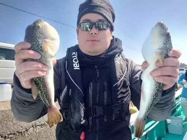 【釣果速報】千葉県利永丸でショウサイフグが絶好調！自分の手で絶品フグを手に入れよう！