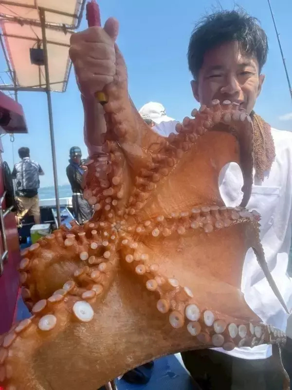 「【釣果速報】兵庫県海蓮丸でタコGET達成！最大100cm！狙える今こそタコ釣りしませんか？」の画像