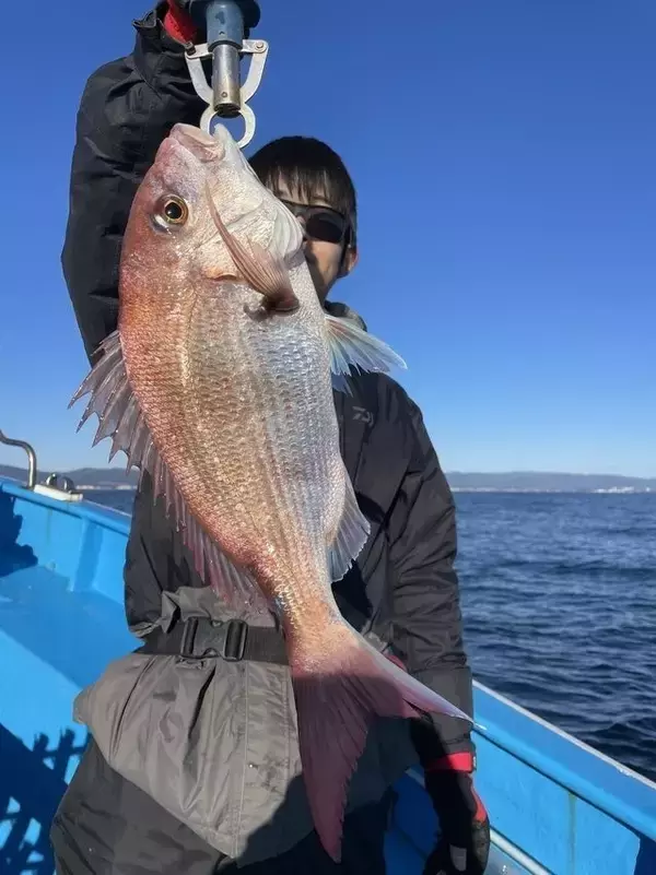 【釣果速報】茨城県ことぶき丸でマダイ・ワラサ・メバルなど多彩な魚種をゲット！数も型も大満足で釣り客全員テンションMAX！