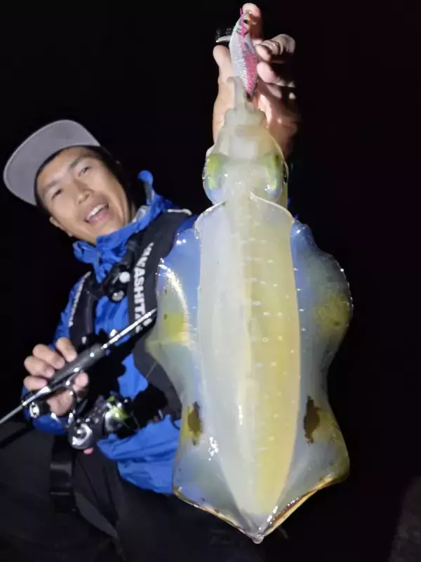 初冬は良型が数釣れる！？初冬エギングの攻略法をエギング大好きヤマシタスタッフ木原がご紹介！！