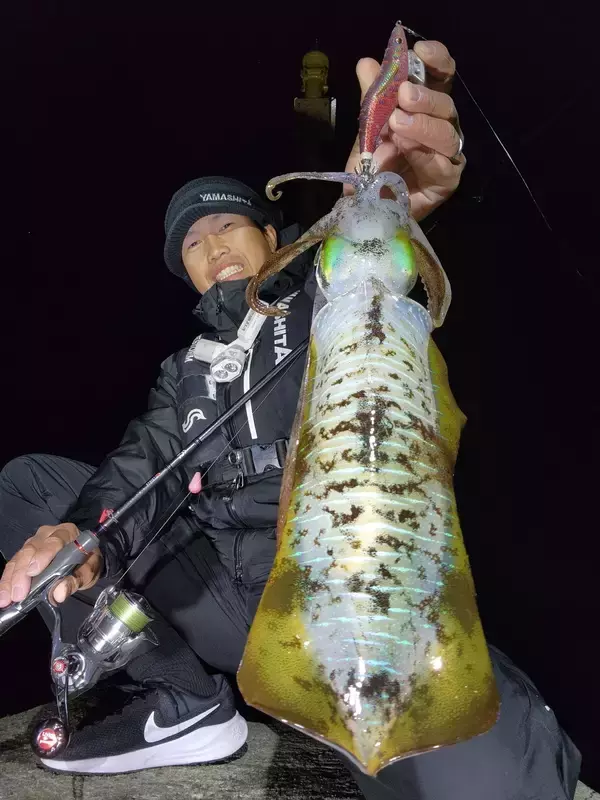 「初冬は良型が数釣れる！？初冬エギングの攻略法をエギング大好きヤマシタスタッフ木原がご紹介！！」の画像