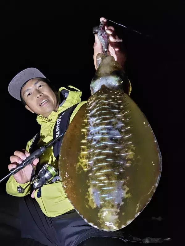 「初冬は良型が数釣れる！？初冬エギングの攻略法をエギング大好きヤマシタスタッフ木原がご紹介！！」の画像