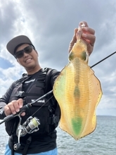 秋エギングシーズン開幕！！どんなエギが秋にいいの？ エギング大好きヤマシタスタッフがご紹介！！