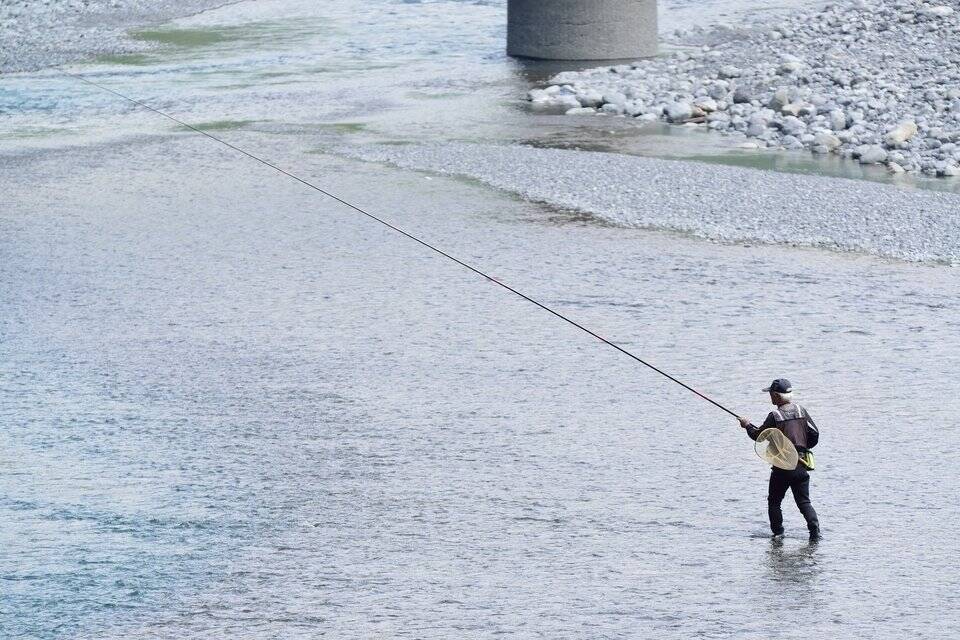 冬になると登場する「ノレソレ」って何！？シラスでもシラウオでもないこの魚の驚きの正体とは！？
