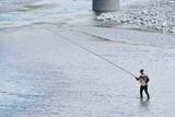 「冬になると登場する「ノレソレ」って何！？シラスでもシラウオでもないこの魚の驚きの正体とは！？」の画像2