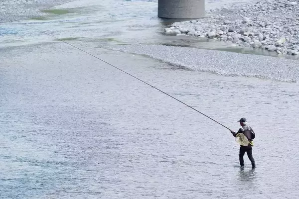 「冬になると登場する「ノレソレ」って何！？シラスでもシラウオでもないこの魚の驚きの正体とは！？」の画像