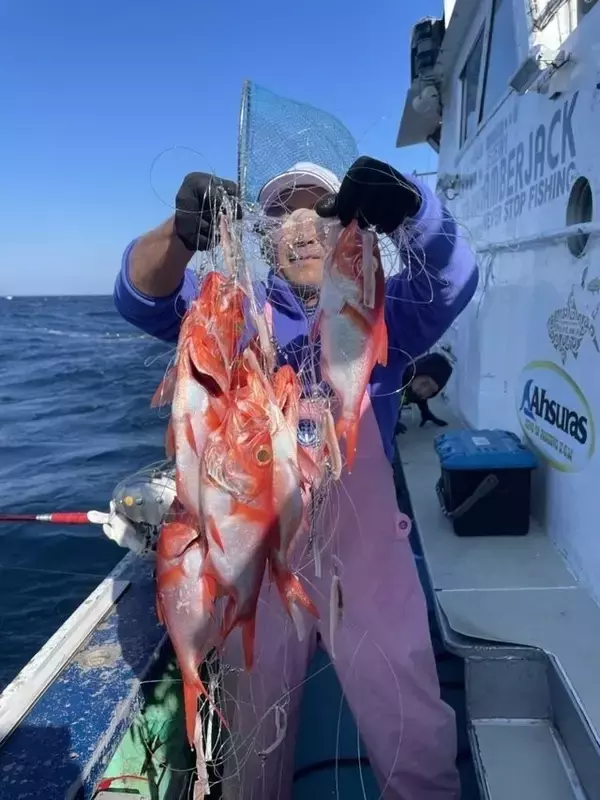 【釣果速報】静岡県南伊豆忠兵衛丸で良型キンメを次々と捕獲！深海に潜む真っ赤な高級魚を探しに行こう！
