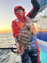 【釣果速報】千葉県松栄丸で最大2.50kgのマハタキャッチ！ヒラメもヒットし大満足の釣果！