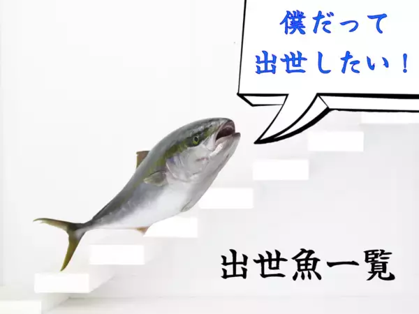 「【完全版】出世魚の種類と呼び名を一挙ご紹介！出世魚に間違われやすい魚も！？」の画像