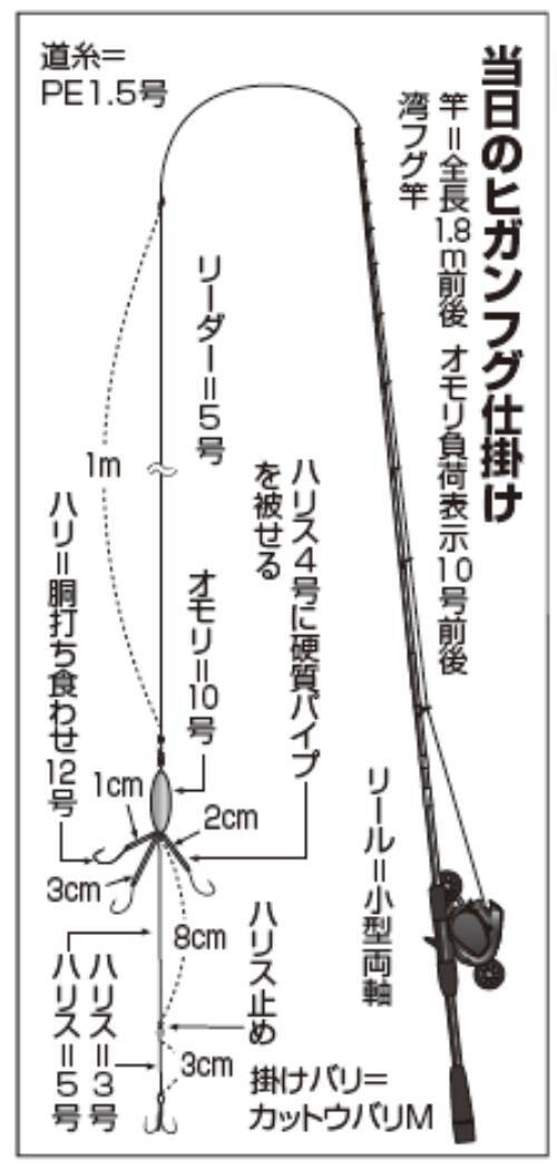 内房フグ釣りの穴場上総湊のヒガンフグ良型交じりで好発進