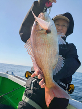 【釣果速報】茨城県弘漁丸で最大3.10kgのマダイを筆頭に大物炸裂！今後も右肩上がりに釣果が上向く見込み！このビッグウェーブ、乗るっきゃない！