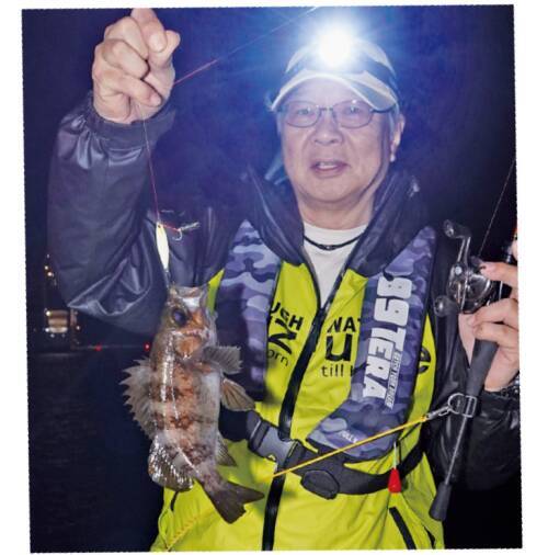 手軽に数釣りが楽しめる　週末に夜カサゴはいかが？