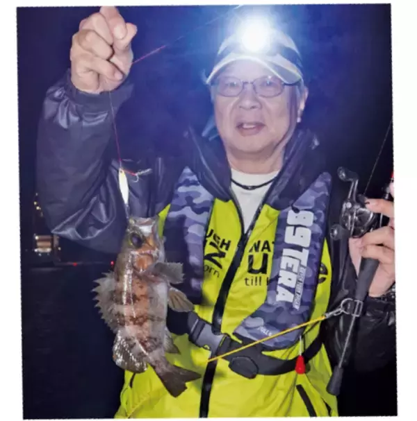 「手軽に数釣りが楽しめる　週末に夜カサゴはいかが？」の画像