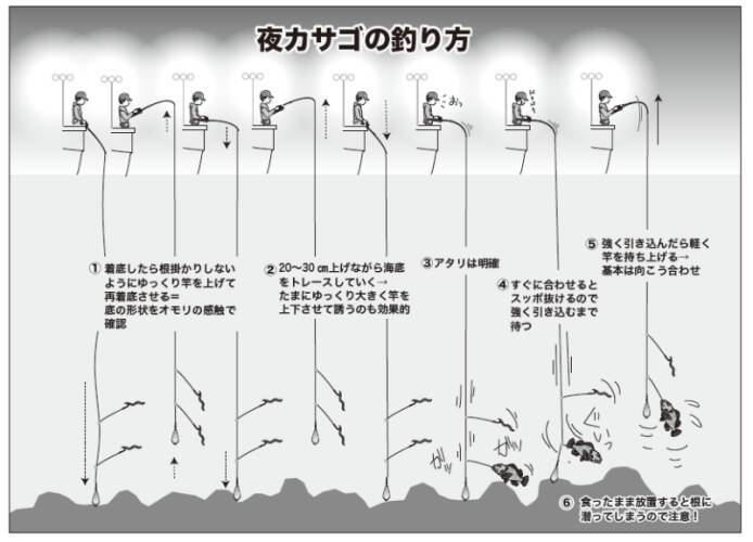 手軽に数釣りが楽しめる　週末に夜カサゴはいかが？
