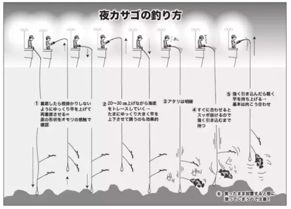 「手軽に数釣りが楽しめる　週末に夜カサゴはいかが？」の画像