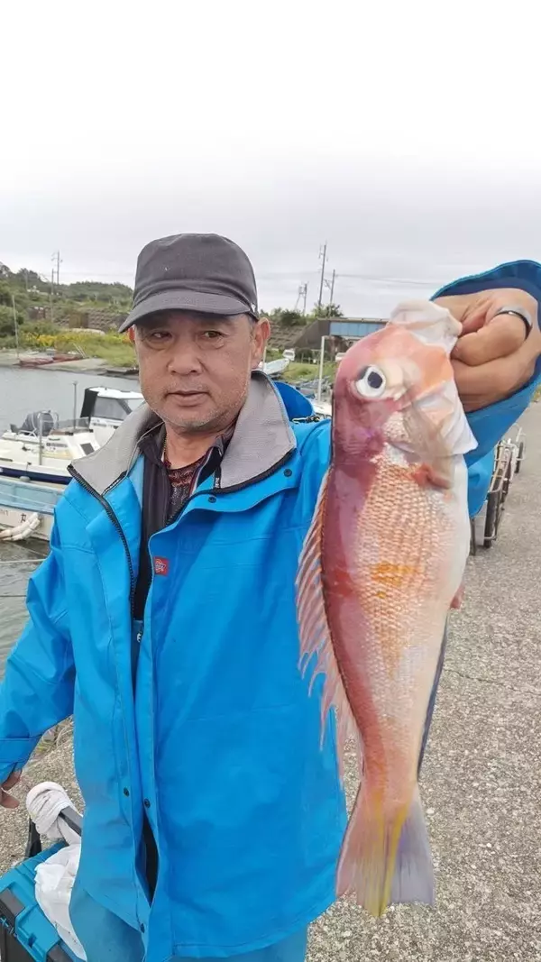 「【釣果速報】千葉県フィッシュオン大勝で38cmの良型アマダイGET！ゲストは水族館が開けるぐらいバラエティ豊かに！一度の釣りでたくさんの魚たちとの出会いを楽しもう！」の画像