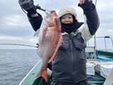 「【釣果速報】雨風をものともせずマダイのヒットが連発！新潟県なかくに丸の釣行でクーラーボックスを人気魚種でいっぱいにしよう！」の画像1
