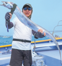 富津沖で数、猿島沖で型狙い　ルアータチウオもヒット中！