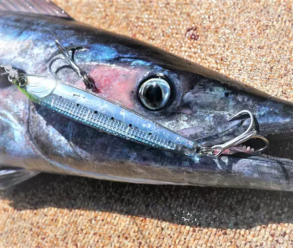 「ドリフトフリッカー レーザーインパクトは2023年新登場のオフショアキャスティング用ジグミノー！」の画像