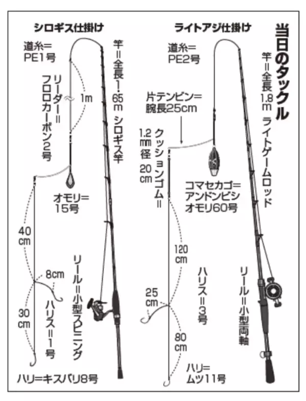 「仙台湾で期待の注目株アジ＆キスリレー好況」の画像