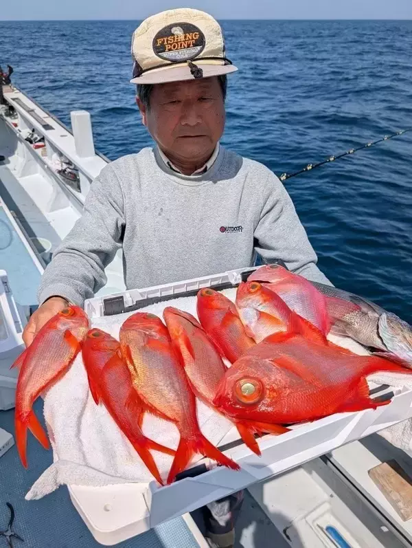 【釣果速報】神奈川県太郎丸でキンメダイがバズる！トップは10枚！サイズも最大44cmと大型多数！数もサイズも記録更新したいなら今スグの乗船がおすすめ！