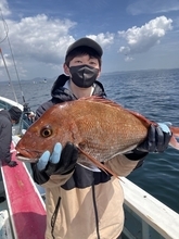 【釣果速報】神奈川県正海丸でマダイ乗り乗り！竿頭4匹ゲット！船長が厳選するポイントで記録更新マダイを釣ろう！