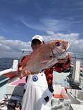 「【釣果速報】神奈川県正海丸でマダイ乗り乗り！竿頭4匹ゲット！船長が厳選するポイントで記録更新マダイを釣ろう！」の画像3