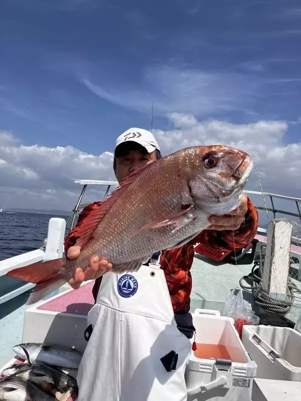 「【釣果速報】神奈川県正海丸でマダイ乗り乗り！竿頭4匹ゲット！船長が厳選するポイントで記録更新マダイを釣ろう！」の画像