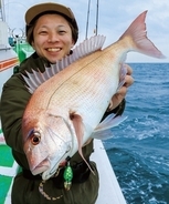 茨城県日立沖のマダイ