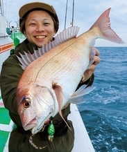 茨城県日立沖のマダイ