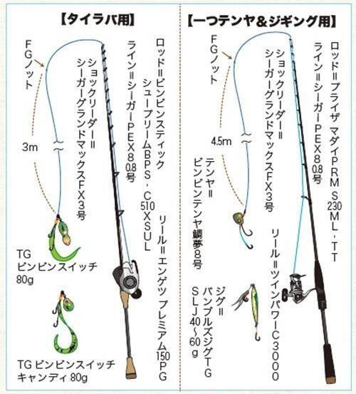 茨城県日立沖のマダイ