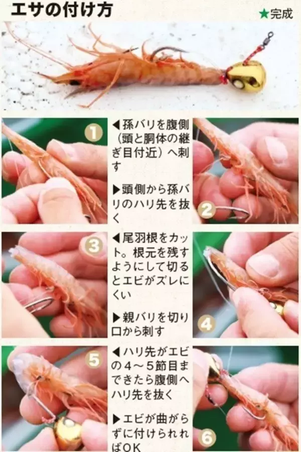 「茨城県日立沖のマダイ」の画像