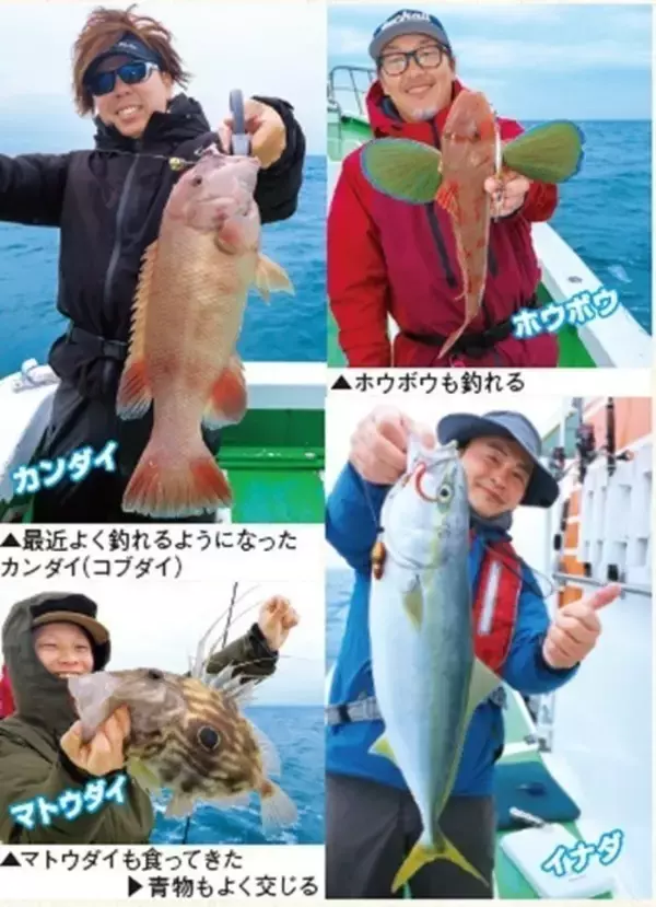 「茨城県日立沖のマダイ」の画像