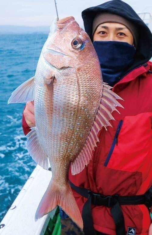 茨城県日立沖のマダイ