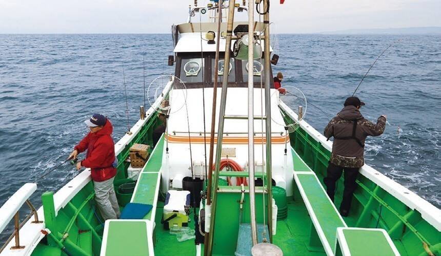 茨城県日立沖のマダイ